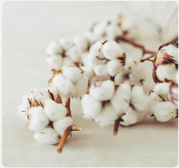 Natural Breathable Fibres